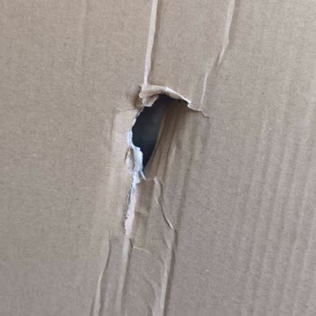 Vatan Bilgisayar Yırtık Ve Deforme Ürün, 21 Gündür Çözülmeyen Sorun