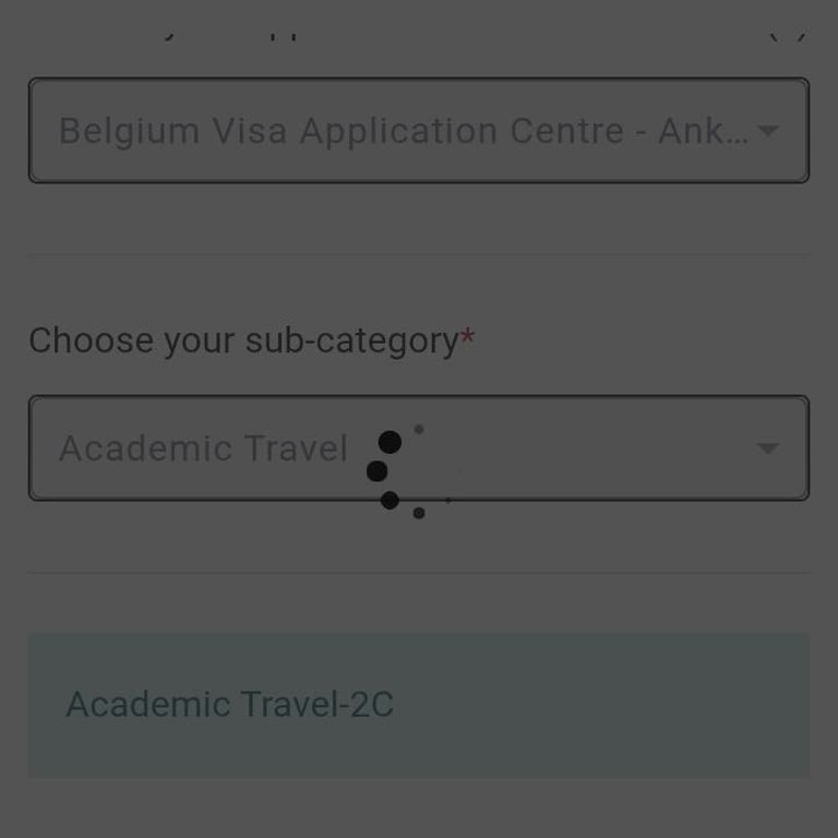 VFS Global Randevu Sistemi Sürekli Hata Veriyor, Randevu Alamıyorum