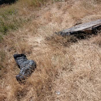Uludağ Kirazlı Yayla'da Bakım Ve Temizlik Eksikliği Ziyaretçileri Üzüyor