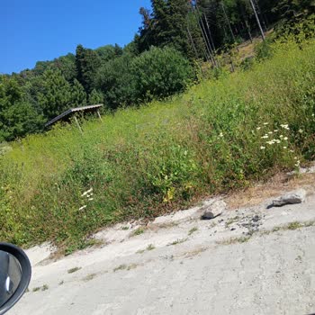 Uludağ Kirazlı Yayla'da Bakım Ve Temizlik Eksikliği Ziyaretçileri Üzüyor