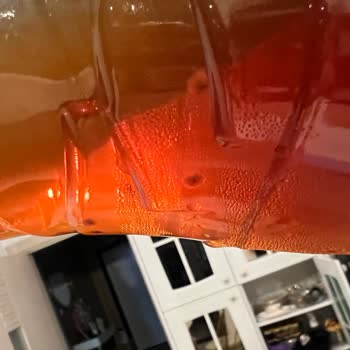 Lipton Ice Tea Şişesinde Anormal Cisimlerle Karşılaştım