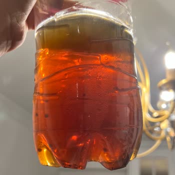 Lipton Ice Tea Şişesinde Anormal Cisimlerle Karşılaştım