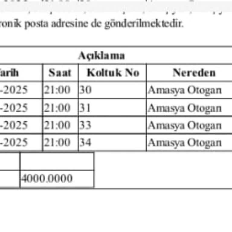 Mis Amasya Tur Gebze Otogarda İndirilmeden Yol Ortasında Bırakıldık