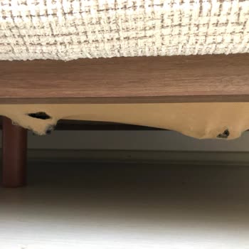 Kelebek Mobilya Koltuğum Kırıldı Servis Haftalardır Gelmiyor Mağduriyetim Sürüyor