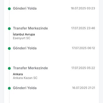 Kargom Yanlış Şehirlere Gidiyor Kedilerim Mağdur Oldu