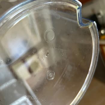 Brita Marella XL Sürahisinde Tekrarlayan Yosunlanma Ve Temizlik Sorunu