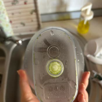 Brita Marella XL Sürahisinde Tekrarlayan Yosunlanma Ve Temizlik Sorunu
