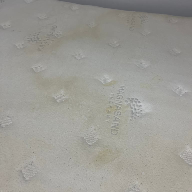 Bambi Yatak Sırt Ağrısı Ve Sararma Sorunu Hayal Kırıklığı