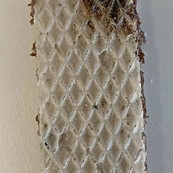 BİM Centro Gofret Şikayeti