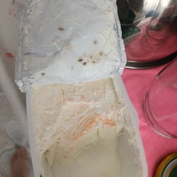 Labne Peynirlerinde Hızlı Küflenme ve Güven Problemi