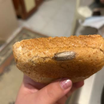 BİM'den Alınan Ekmekte Böcek Şoku: Hijyen Sorunu Tekrarlandı