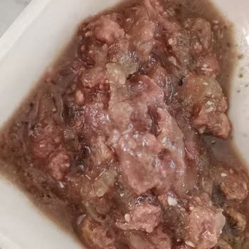 Satın Aldığım Mama Bozuk Ve Kötü Kokulu Çıktı