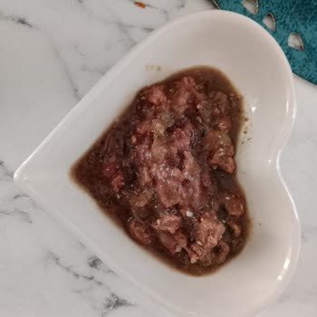 Satın Aldığım Mama Bozuk Ve Kötü Kokulu Çıktı