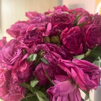 Siparişimdeki Güller Solmuş Ve Görselden Farklı Geldi