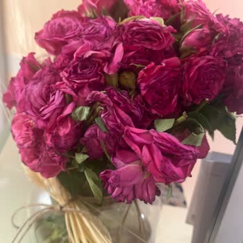 Siparişimdeki Güller Solmuş Ve Görselden Farklı Geldi