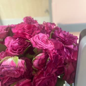 Siparişimdeki Güller Solmuş Ve Görselden Farklı Geldi