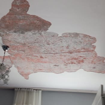 TOKİ Konutlarında Sıva Dökülmesi Ve Yönetimin İlgisizliği