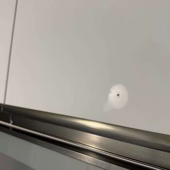 Yıldız Entegre Mat Lac Kapaklarda Leke Ve Kusur Sorunu