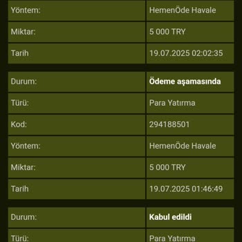 GrandPashaBet Oyun Sitesinde Yaşadığım Yatırım ve Erişim Sorunu