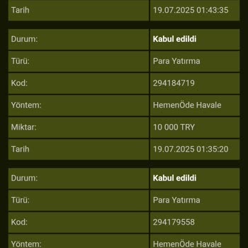 GrandPashaBet Oyun Sitesinde Yaşadığım Yatırım ve Erişim Sorunu