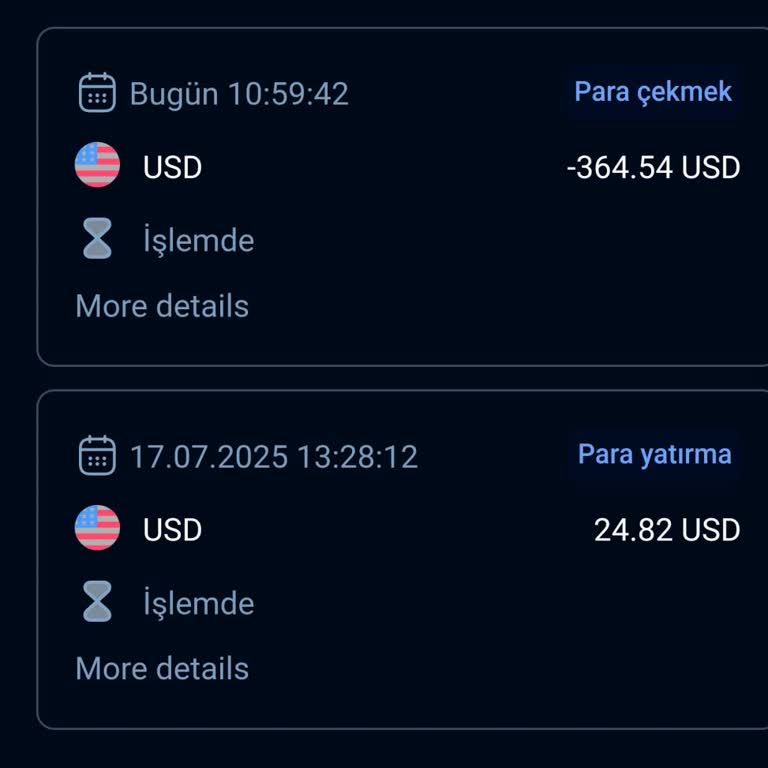 Vintalorix 10 Gündür İşlemim Gerçekleşmedi