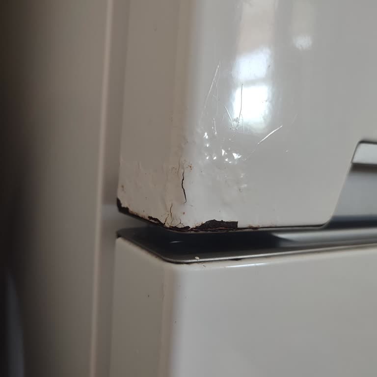 Vestel Buzdolabı Kapısında Çürüme Ve Yetersiz Müşteri Hizmeti