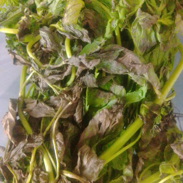 Bozuk Ve Sağlıksız Ürünler, Yetersiz Müşteri Hizmeti Nedeniyle Güven Kaybı