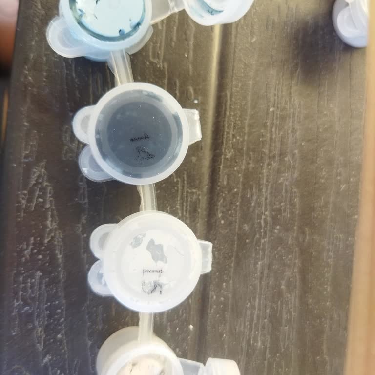 Kuruyan Boyalar Ve Yetersiz Destek Nedeniyle Yaşanan Sorun