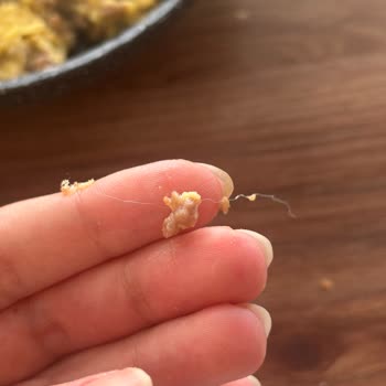 Migros'tan Aldığım Dana Kıymadan Şüpheli Madde Çıktı!