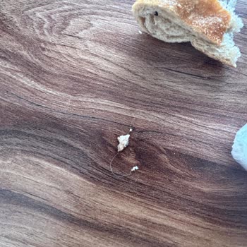 Migros'tan Aldığım Dana Kıymadan Şüpheli Madde Çıktı!