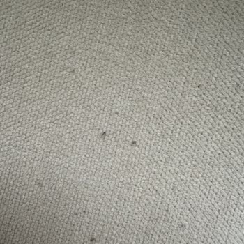 Garanti Süresi Dolmadan Hasarlanan Koltuklarda Değişim Yapılmıyor