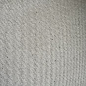 Garanti Süresi Dolmadan Hasarlanan Koltuklarda Değişim Yapılmıyor