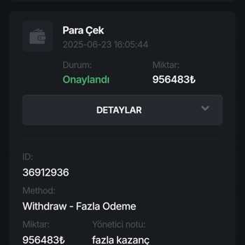 Portobet Paramı Ödemedi Ve Küfürlü Davrandı