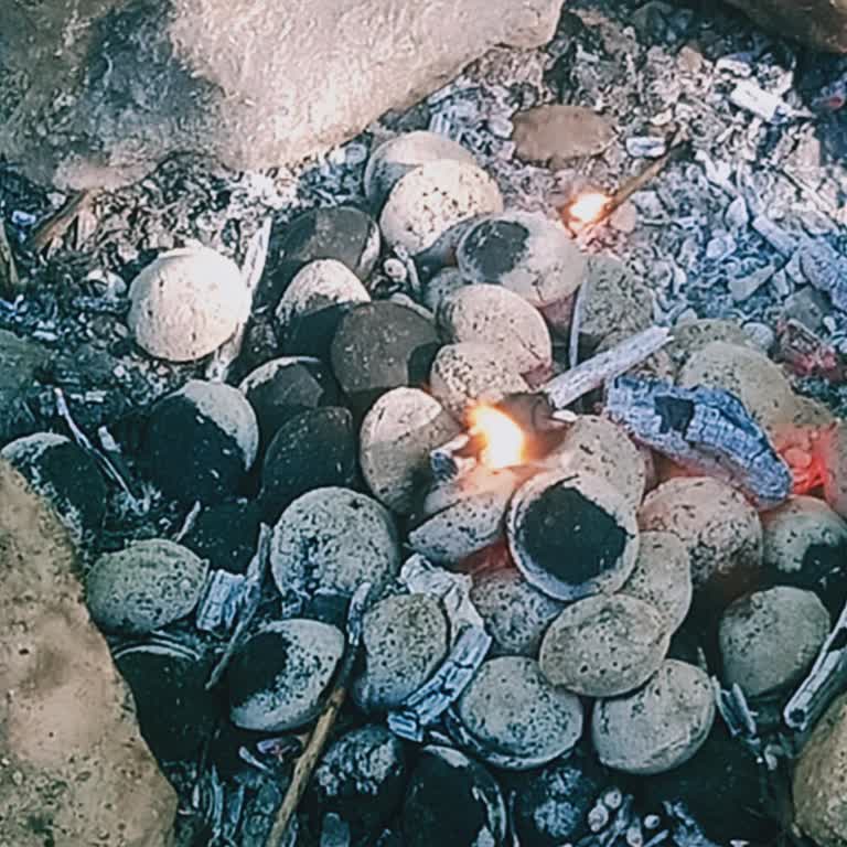 Ece Piknik Ürünleri Yanmayan Kömürle Keyfimiz Kaçtı!