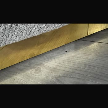 As Home Mardin Beni Oyaladılar