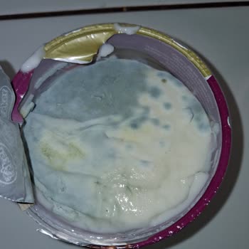 Eker Aldığım Tavuk Göğsü Küflü Çıktı, Acil Çözüm Bekliyorum