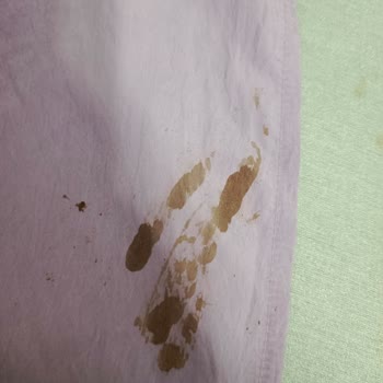 Çeyiz Garantisi Verilen Ütüde Mağduriyet Ve Yüksek Tamir Ücreti