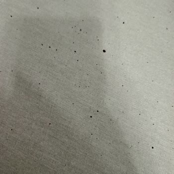 Çeyiz Garantisi Verilen Ütüde Mağduriyet Ve Yüksek Tamir Ücreti