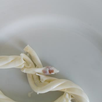 Güvendiğim Peynirde Yabancı Cisim Şoku!