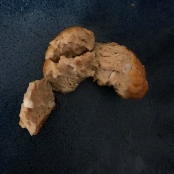 Dondurulmuş Köftede Kemik Ve Yabancı Maddelerle Karşılaştım