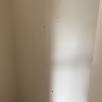 Rota Emlak (Kurtköy) Boyalı Diye Teslim Ettiği Ev!