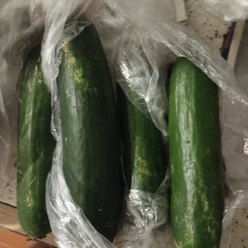 Çürük Ürünler Ve Yetersiz Trendyol Müşteri Hizmeti Deneyimi