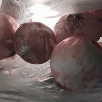 Çürük Ürünler Ve Yetersiz Trendyol Müşteri Hizmeti Deneyimi