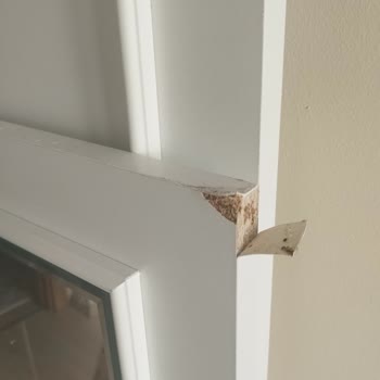 Hasarlı Ürün Teslimatı Ve Gecikme Nedeniyle Mağduriyet