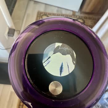 Dyson V15 Ekranında Darbe Olmadan LCD Göstergeleri Kayboldu