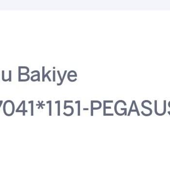 Pegasus Bilet Ücreti Çekildi Ama Bilet Oluşmadı İade Yapılmıyor