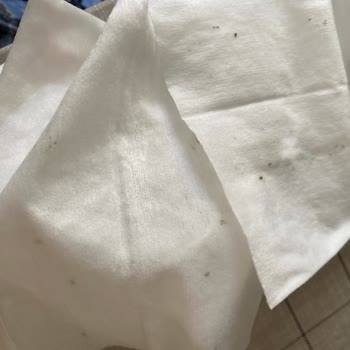 Yenidoğan Islak Mendilde Küf Oluşumu Ve Güven Sorunu