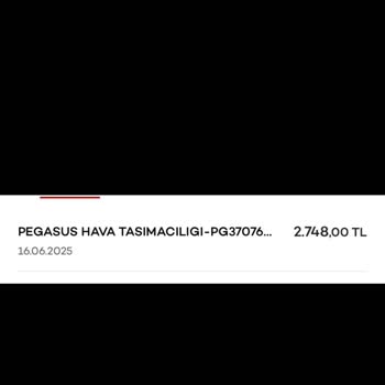 Haksız Bagaj Ücreti Ve Yetersiz Müşteri Hizmetleri Mağduriyeti