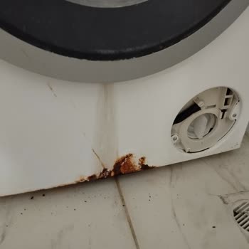 Bosch Çamaşır Makinesi Hem Paslandı Hem De Arızalı