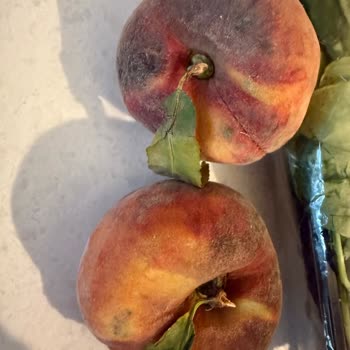 Yemek Sepeti'nden Gelen Kırık Yumurtalar Ve Çürük Sebzeler İçin İade Sorunu